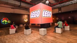 Disfruta el primer fin de semana de enero en Santiago: Los mejores panoramas para hacer junto a la familia