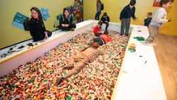 LEGO Fun Fest vuelve recargado a Santiago: Fechas, ubicación, precio de las entradas y descuentos