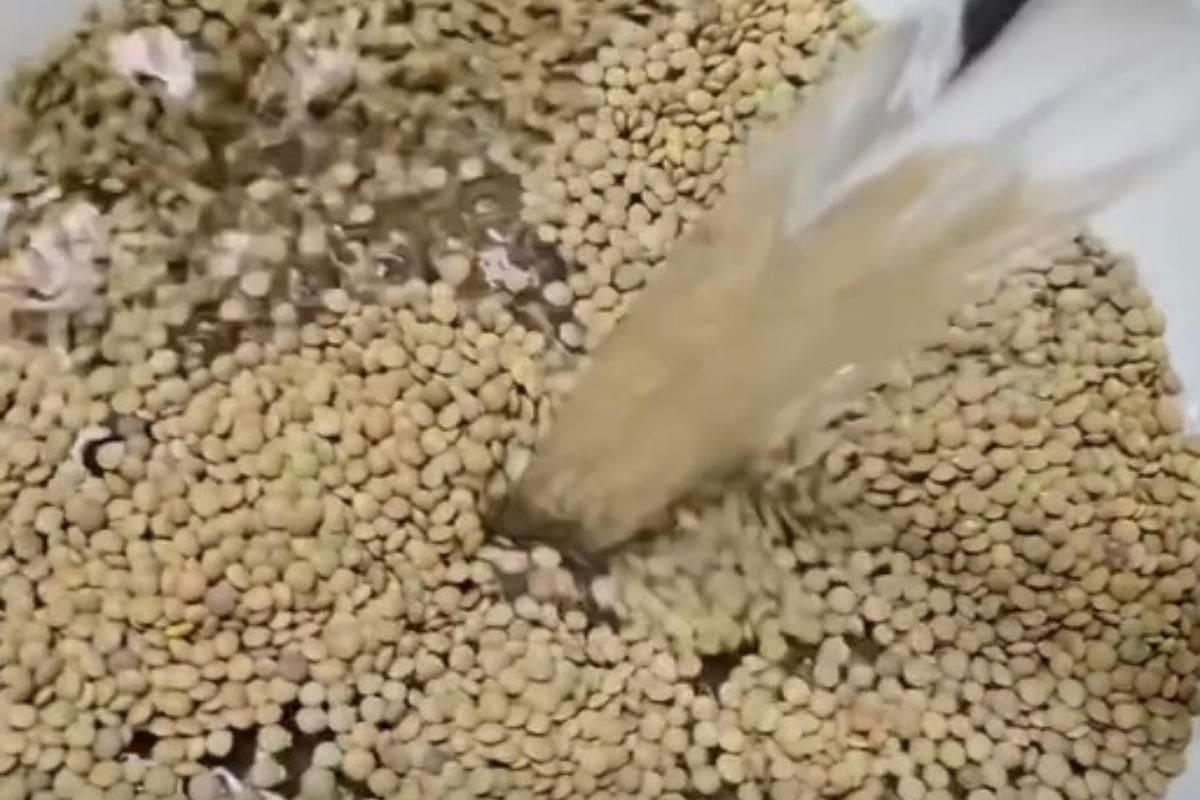 Según las palabras de la nutrióloga Catalina Silva, con estos consejos se puede evitar la hinchazón.
Créditos: IG.