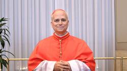 “Su Santidad”: Universidad Católica envió caluroso saludo a Papa León XIV