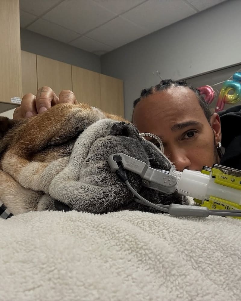 Y su última imagen con Roscoe. Foto: Instagram