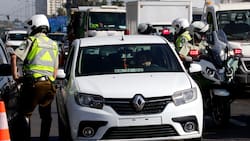 Ley Patente Cero Días: ¿De qué trata esta nueva norma?