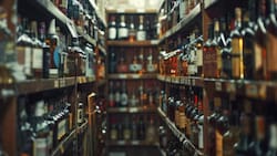 Elecciones Presidenciales 2025: ¿Abrirán las botillerías HOY 14 de diciembre?