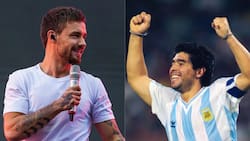 El dolor del fandom huérfano: Así se vive el duelo silencioso tras la muerte de un ídolo