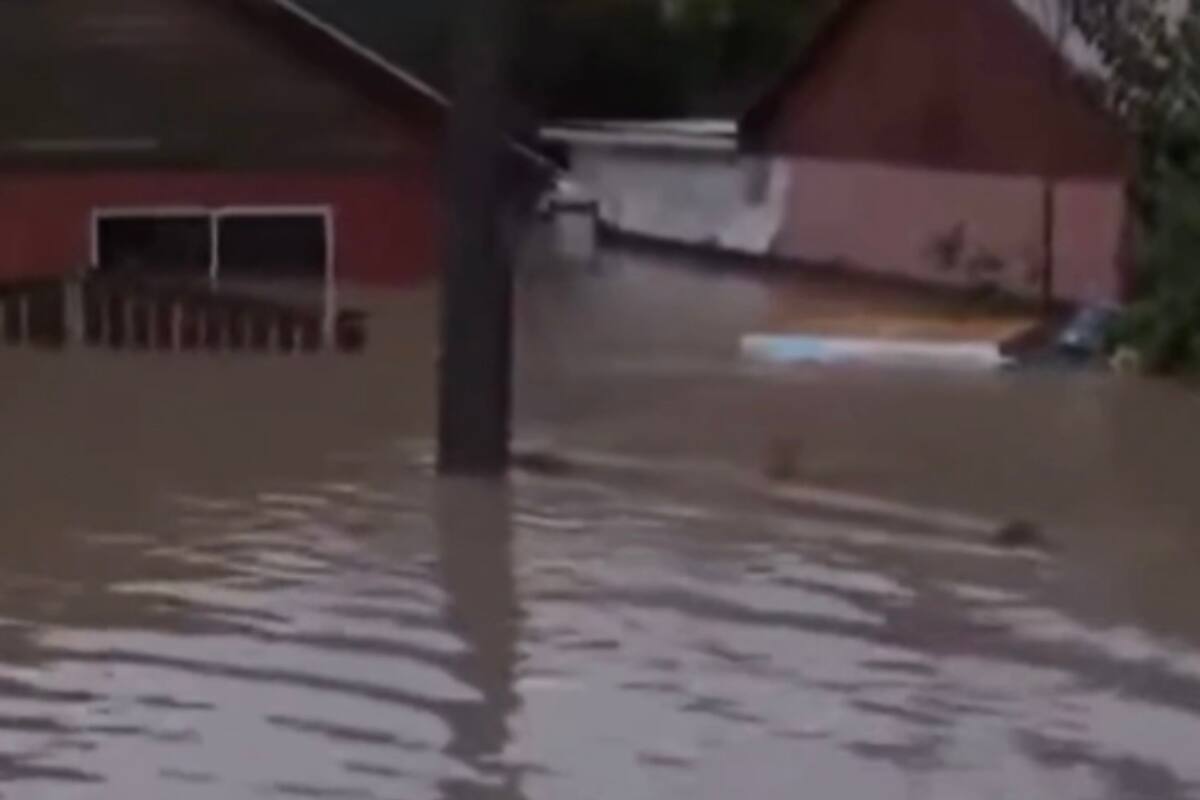 Imágenes de casas inundadas por el sistema frontal.