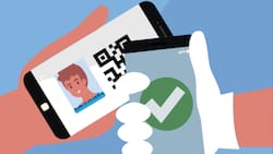 ¿Quiénes son las ÚNICAS personas que podrán tener la licencia de conducir digital?