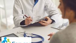 Miles de empleados públicos compraron licencias falsas: Hay trabajadores de Fonasa y otras instituciones