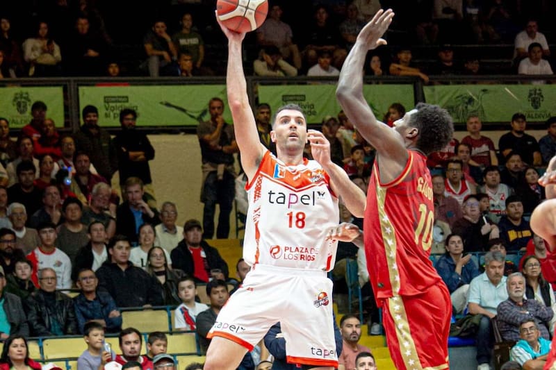 Valdivia ganó ante Leones por el tercer juego de la serie. Foto: LNB.