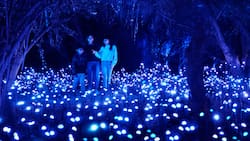 Light Cycles en Santiago: Este festival de luces es un panorama imperdible de la Región Metropolitana