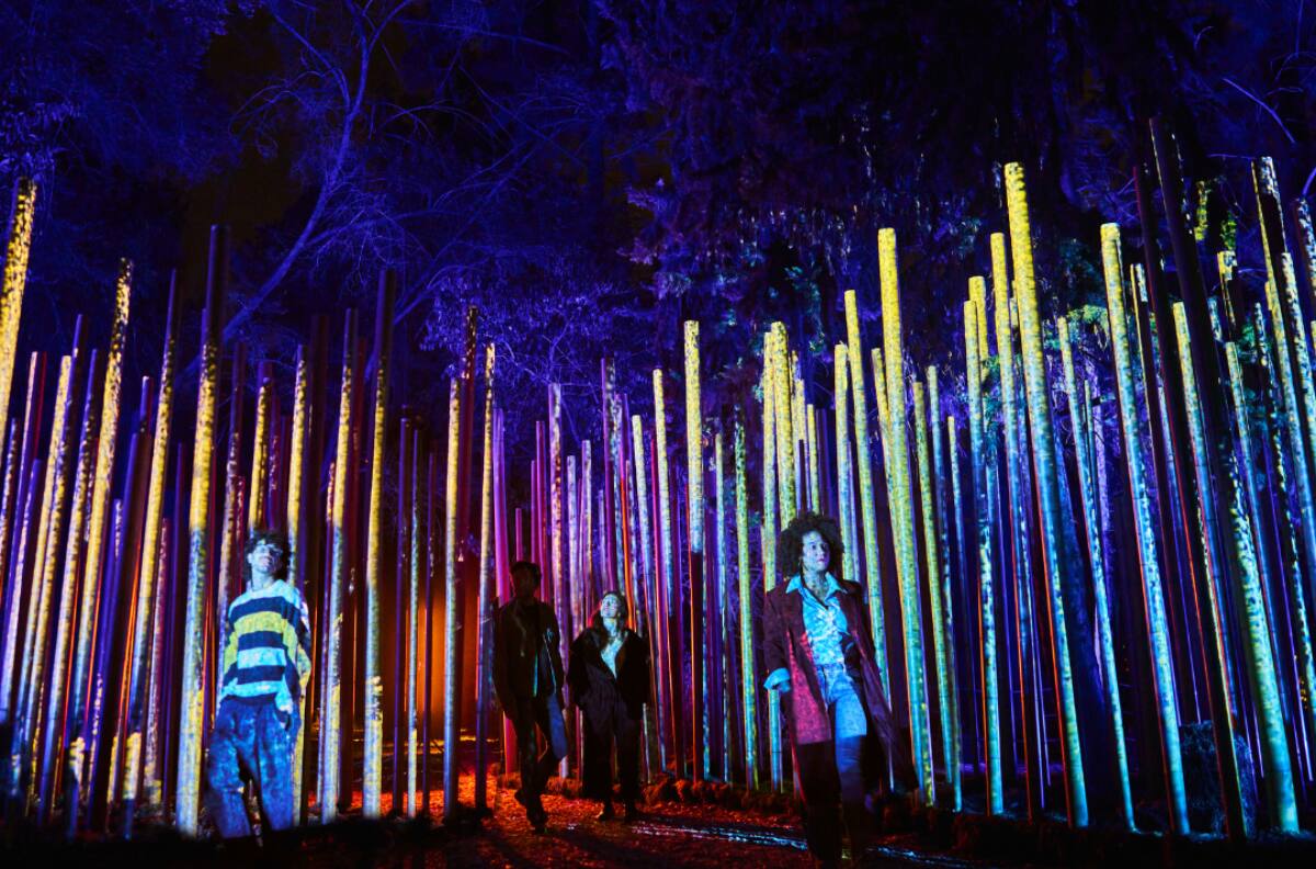 Vuelve Light Cycles a Santiago: precios, horarios y descuentos para este imperdible festival de luces