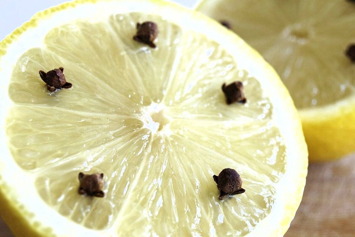 Debido a su intenso olor, esta mezcla es muy utilizada para eliminar las moscas en casa de forma natural. Créditos: Exit Mac SAC