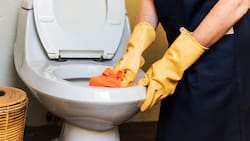 Trucos caseros para quitar el sarro del inodoro de forma sencilla y fácil