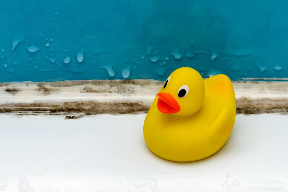Descubre cuál es el truco para quitar el moho de las juntas de silicona de la bañera.