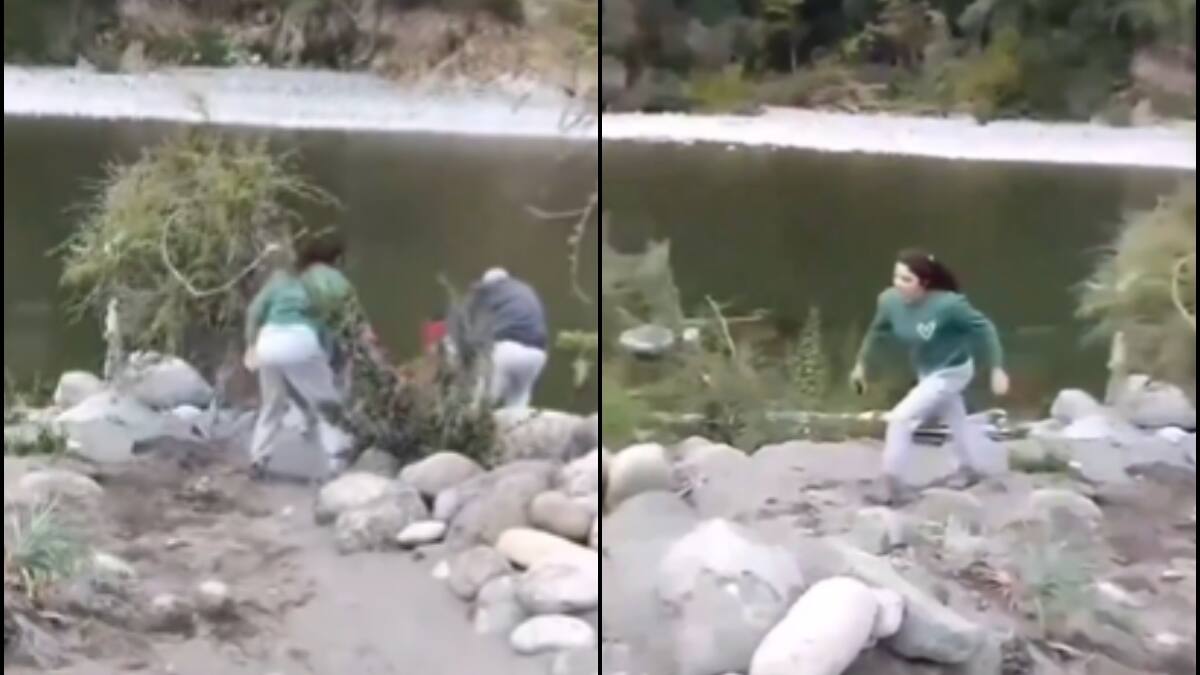 VIDEO | Mujer empujó a adulto mayor a río de Linares ante la mirada de su pequeña nieta