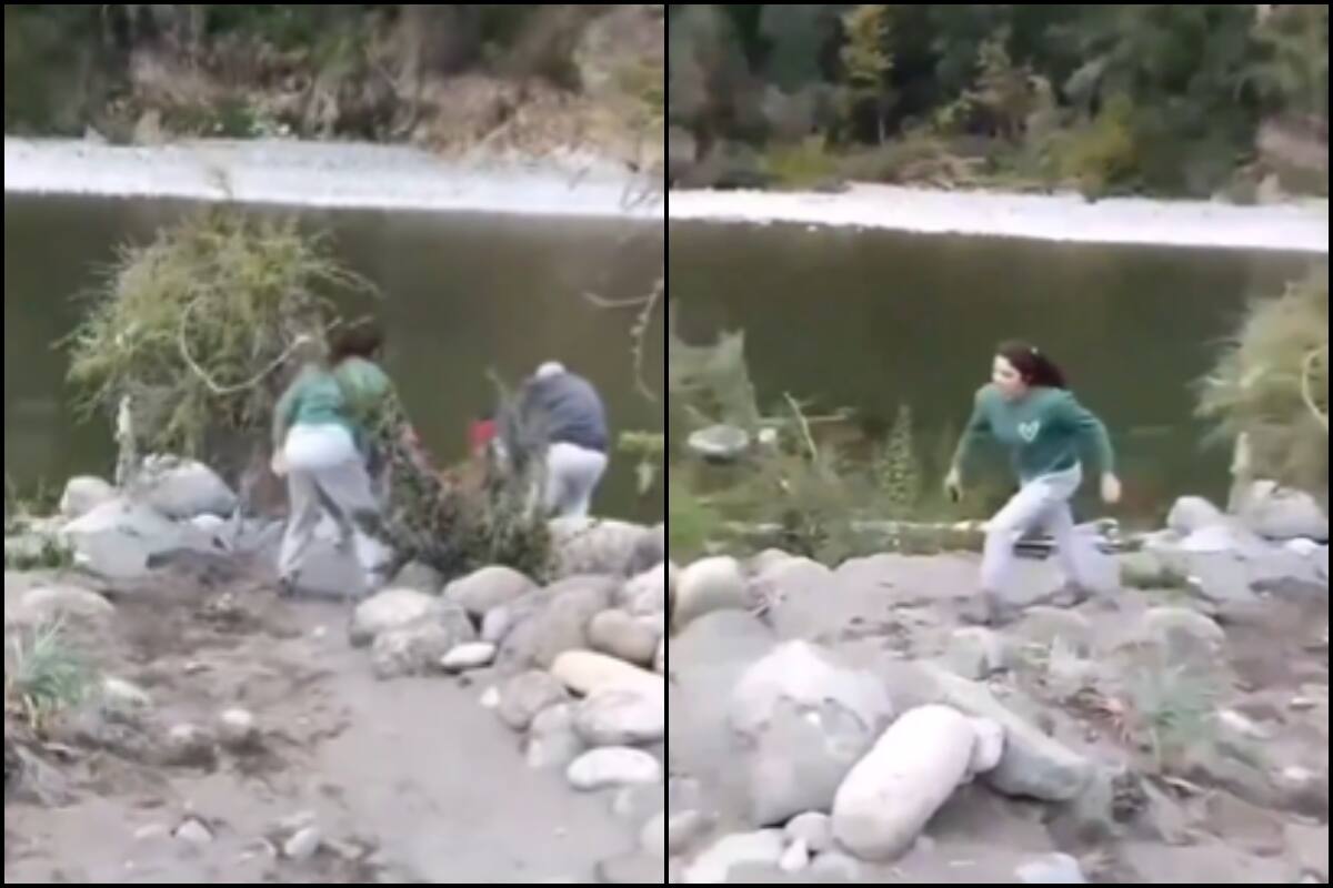 El registro generó inmediatas reacciones. Captura video.