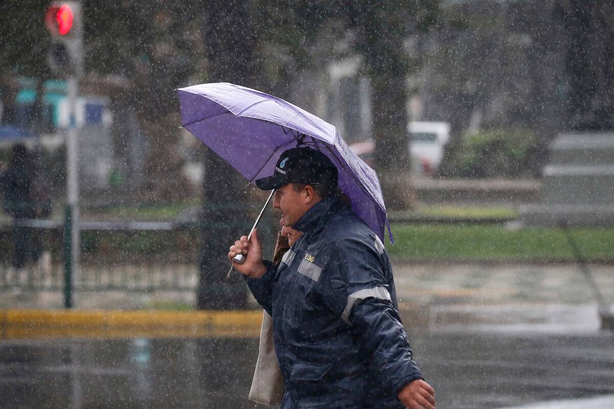 Se espera que lleguen durante este primer fin de semana de abril.