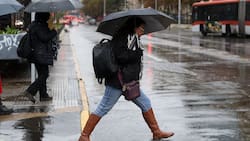 Michelle Adam adelanta pronóstico para el fin de semana: “Esperamos precipitaciones de distinta intensidad, entre el sábado y el domingo”