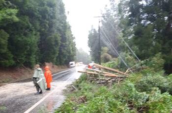 SENAPRED declara Alerta Roja por sistema frontal en Biobío