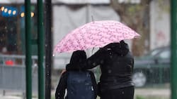 Michelle Adam advierte por nuevo sistema frontal: “Es una lluvia fuerte, intensa y además se aprecia que está acompañada de nieve”