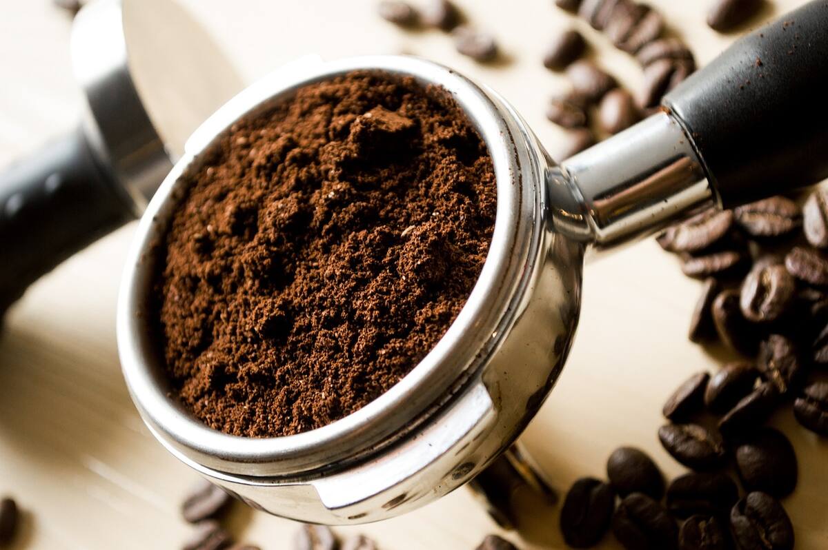 El café es uno de las bebidas que trae consigo beneficios para la salud y mpas en la última etapa de nuestras vidas.