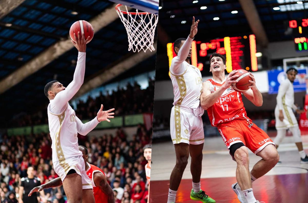 VIDEO | ¡Campeones! Los Leones vencieron a Valdivia en el cuarto juego y se quedaron con el título de la LNB