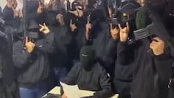 ¿Quienes son Los Lobos?: La peligrosa organización criminal ecuatoriana que está llegando a Chile