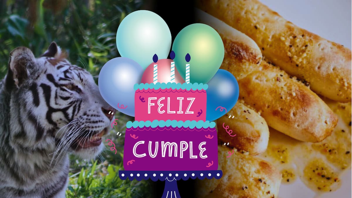 Comida, cine y zoológico: 6 lugares que te harán un espectacular regalo solo por estar de cumpleaños