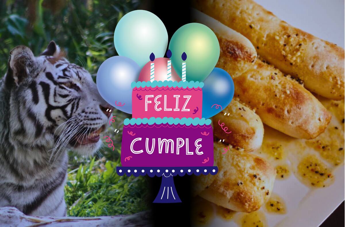 Comida, cine y zoológico: 6 lugares que te harán un espectacular regalo solo por estar de cumpleaños