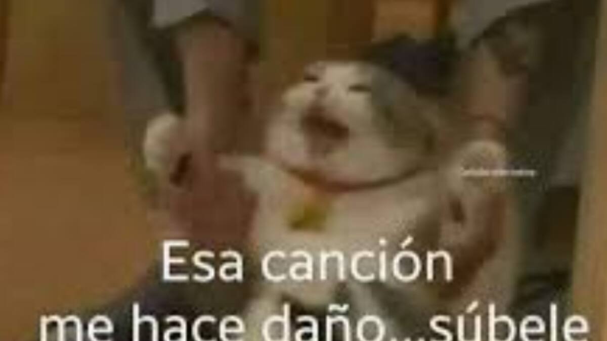 Revisa los mejores memes que dejó la presentación de Morat en el Festival de Viña 2025