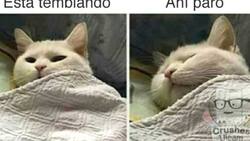 Segundo temblor de mediana intensidad en menos de cuatro horas desata ola de memes en X