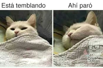 Segundo temblor de mediana intensidad en menos de cuatro horas desata ola de memes en X