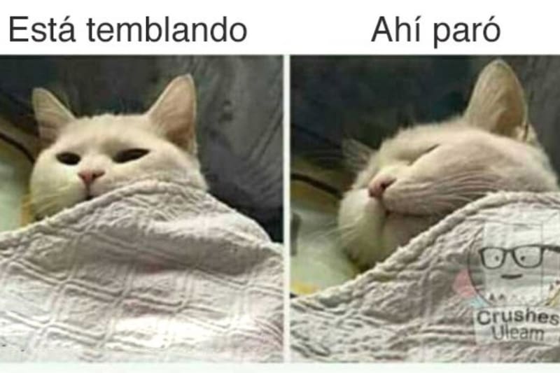 Créditos: X