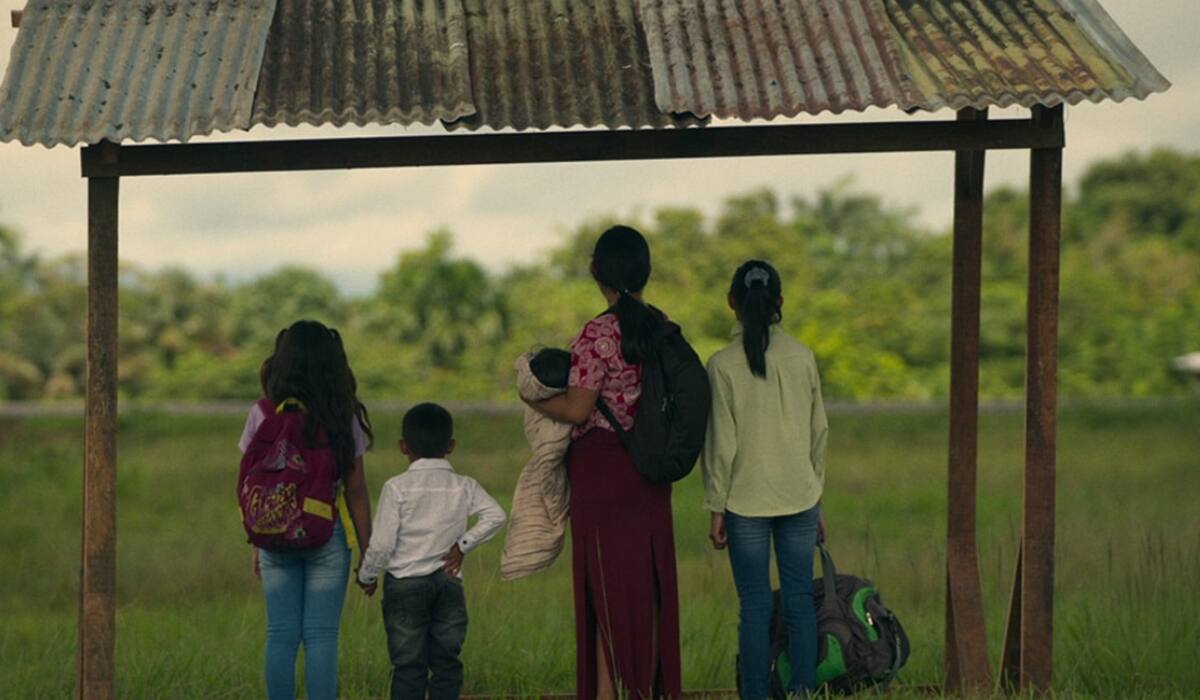 cuenta la historia de supervivencia de cuatro niños indígenas.