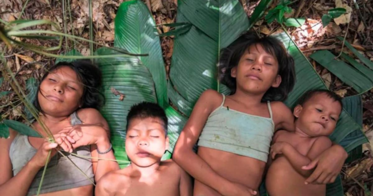 "Los niños perdidos" es un documental tendencia.