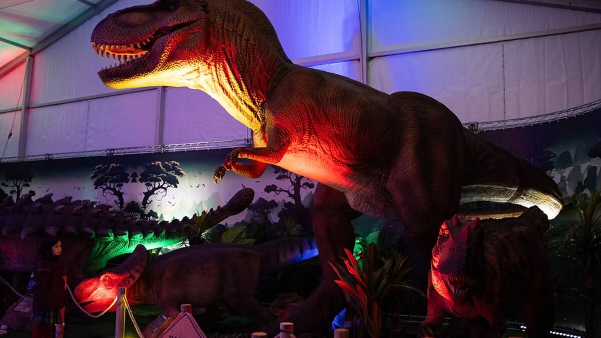 Los panoramas imperdibles para hacer en Viña del Mar antes de que llegue marzo