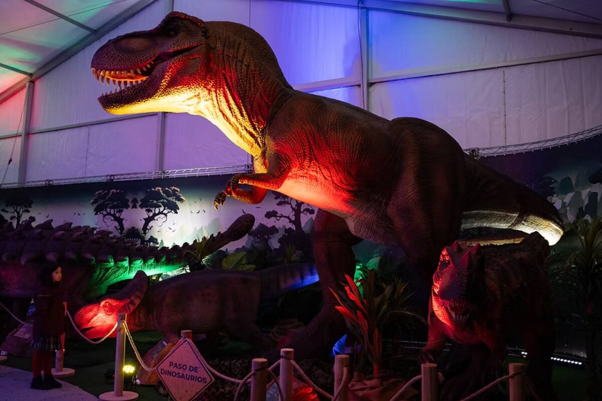 Lo mejor para aprovechar estos últimos días de vaciones.
Foto: Dino Adventure.