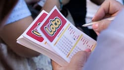 Resultados del Loto sorteo 5364: 37 jugadores ganaron más de $86.000 previo a Navidad