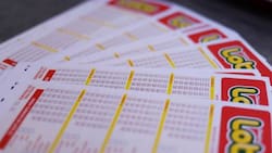 Resultados del Loto sorteo 5355: ¡Hay un solo ganador de más de $22 millones!