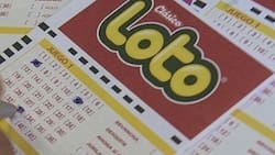 Resultados del Loto sorteo 5378: ¡Un jugador ganó $3.575.587.230 este domingo!