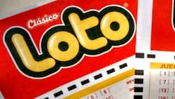 Resultados del sorteo 5337 del Loto: 3 jugadores se llevaron más de $12.000.000
