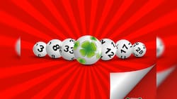 Resultados del Loto sorteo 5345: 13 jugadores ganaron $244.900 este domingo 9 de noviembre