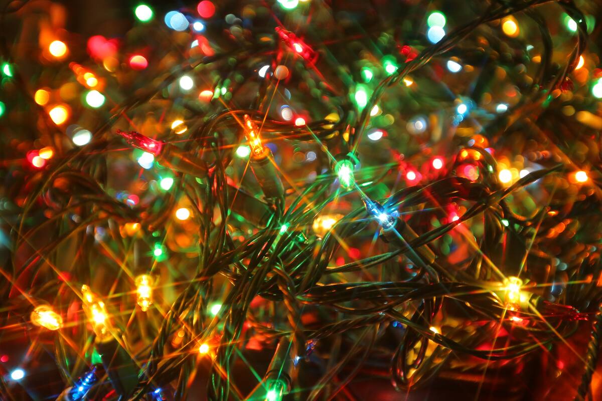 Revisa las mejores recomendaciones para esta Navidad.
