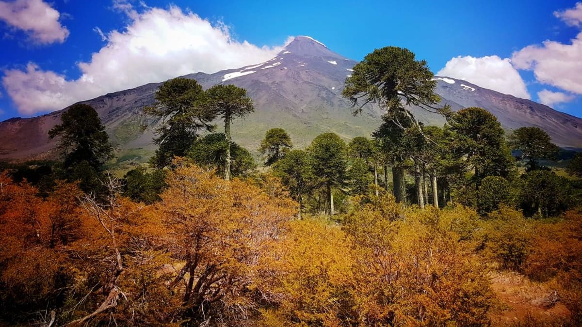 Ideales para escapar del ruido: 7 lugares silenciosos que puedes visitar en Chile, según ranking