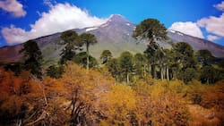 Ideales para escapar del ruido: 7 lugares silenciosos que puedes visitar en Chile, según ranking