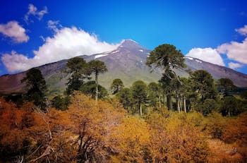 Ideales para escapar del ruido: 7 lugares silenciosos que puedes visitar en Chile, según ranking