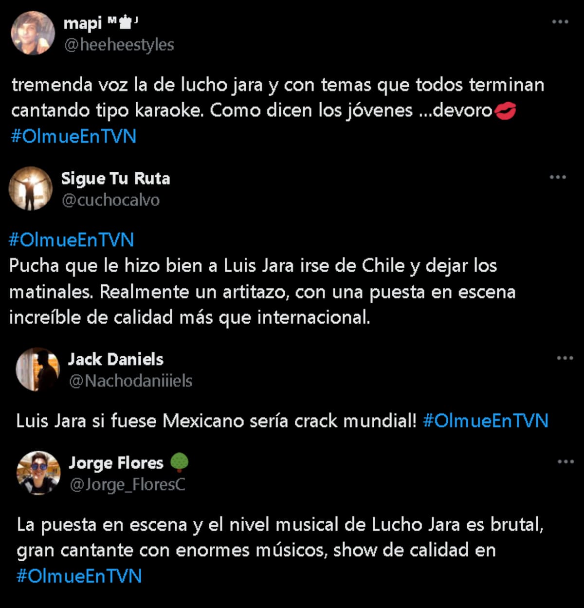 Reacciones del show del cantante en Olmué 2025.