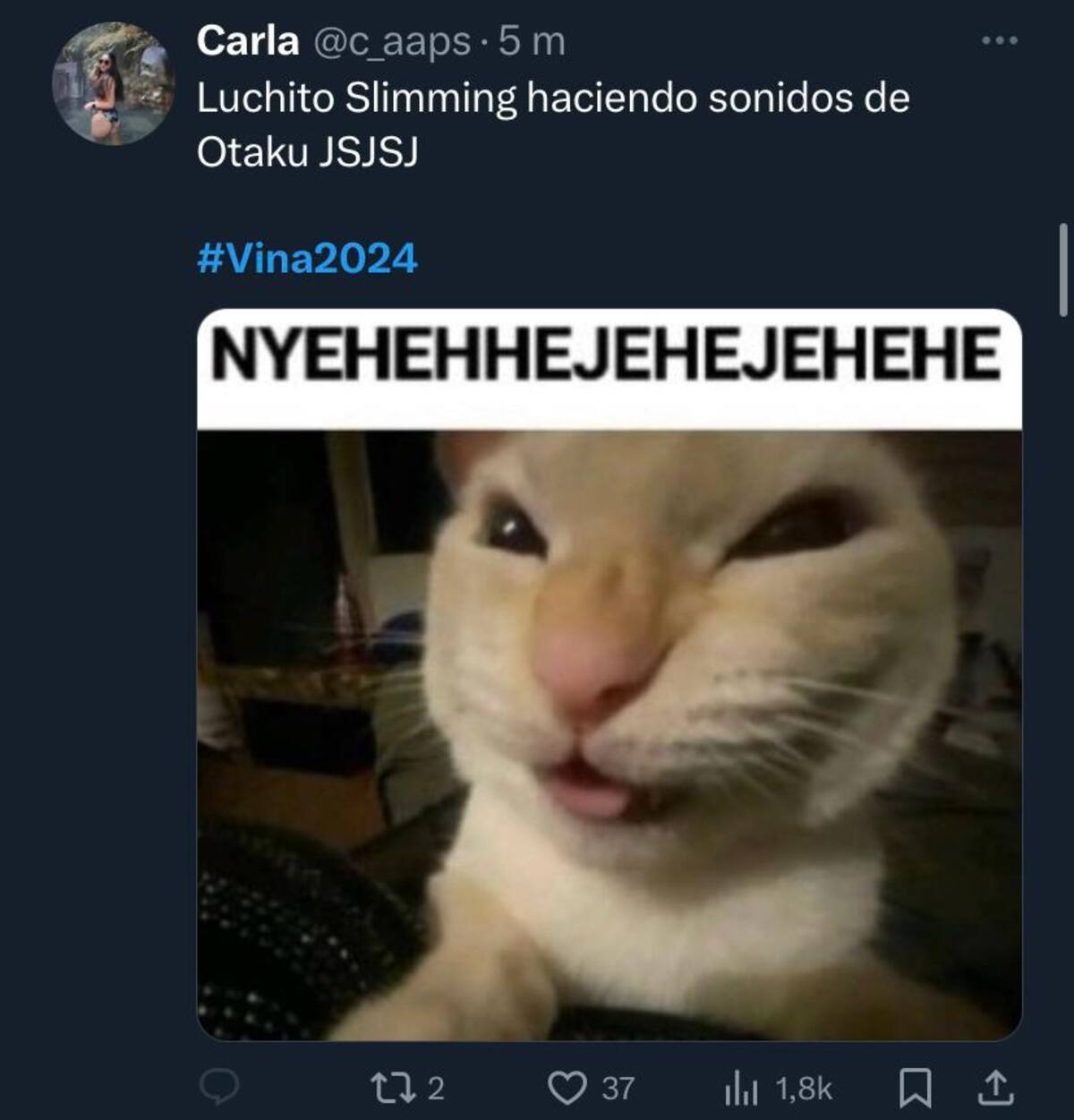 Luis Slimming.