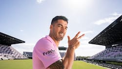 Bomba: Luis Suárez volvería al fútbol sudamericano y jugaría Copa Libertadores