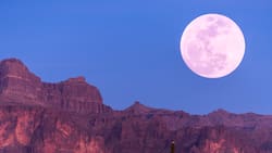 Así podrás ver la Luna de Fresa en Chile: será la más alta hasta 2043