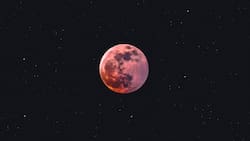 Luna de Sangre: Conoce a qué hora ocurrirá y las recomendaciones para ver el eclipse